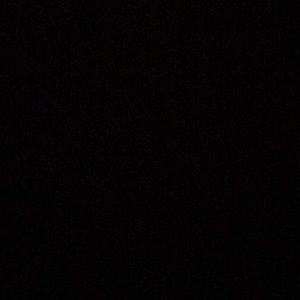 Meet your Posher, Genaro